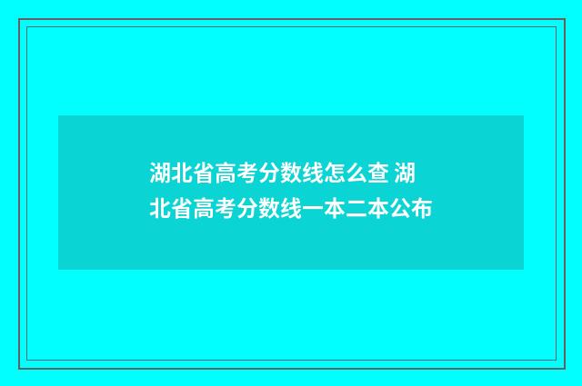 湖北省高考分数线怎么查 湖北省高考分数线一本二本公布