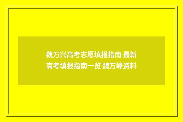 魏万兴高考志愿填报指南 最新高考填报指南一览 魏万峰资料