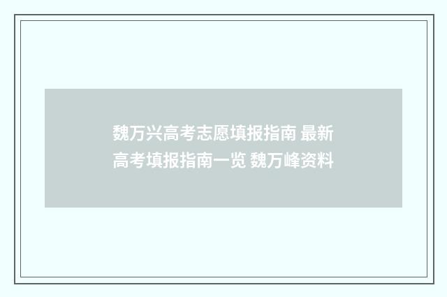 魏万兴高考志愿填报指南 最新高考填报指南一览 魏万峰资料