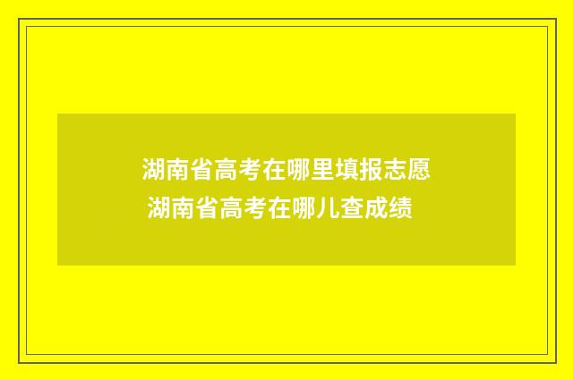 湖南省高考在哪里填报志愿 湖南省高考在哪儿查成绩