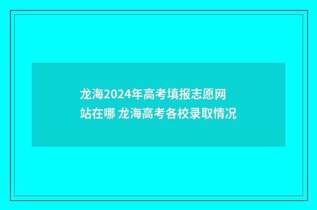 龙海2024年高考填报志愿网站在哪 龙海高考各校录取情况
