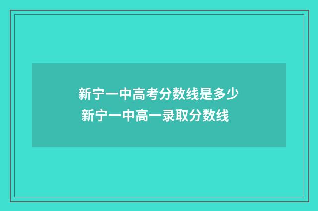 新宁一中高考分数线是多少 新宁一中高一录取分数线
