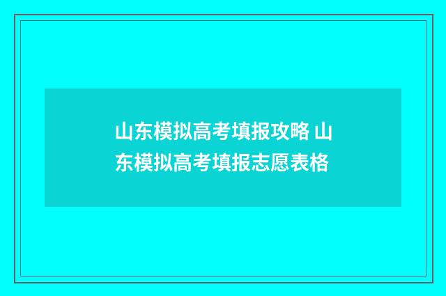 山东模拟高考填报攻略 山东模拟高考填报志愿表格