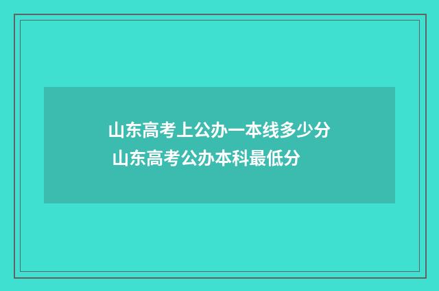 山东高考上公办一本线多少分 山东高考公办本科最低分