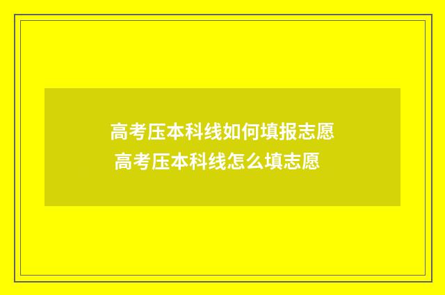 高考压本科线如何填报志愿 高考压本科线怎么填志愿