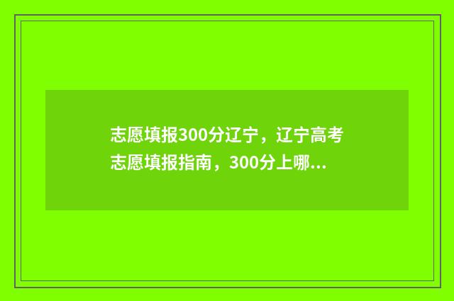 志愿填报300分辽宁，辽宁高考志愿填报指南，300分上哪些大学？