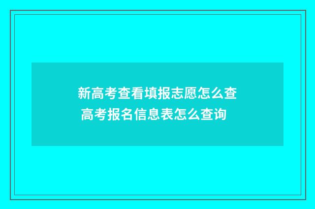 新高考查看填报志愿怎么查 高考报名信息表怎么查询