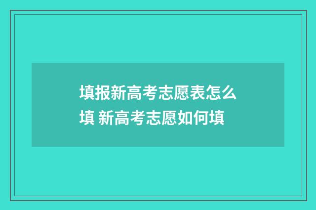 填报新高考志愿表怎么填 新高考志愿如何填