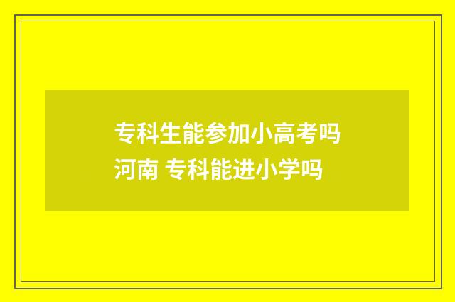 专科生能参加小高考吗河南 专科能进小学吗