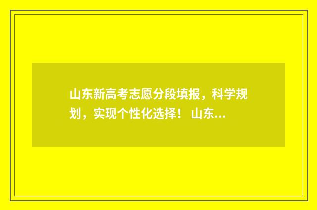 山东新高考志愿分段填报，科学规划，实现个性化选择！ 山东新高考志愿填报投档比例