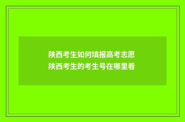 陕西考生如何填报高考志愿 陕西考生的考生号在哪里看