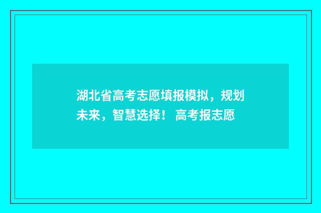 湖北省高考志愿填报模拟，规划未来，智慧选择！ 高考报志愿