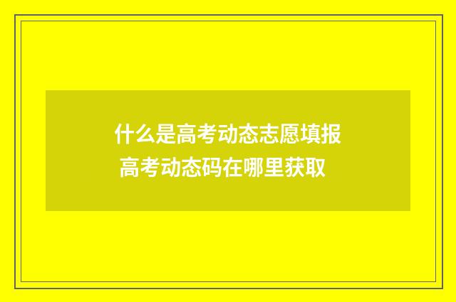 什么是高考动态志愿填报 高考动态码在哪里获取