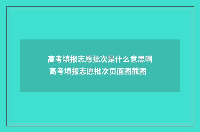 高考填报志愿批次是什么意思啊 高考填报志愿批次页面图截图