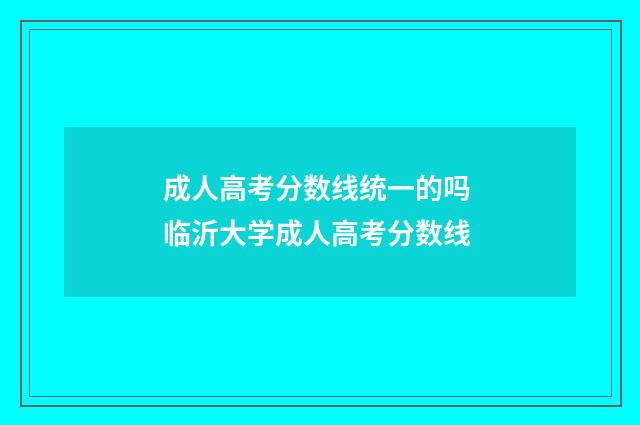 成人高考分数线统一的吗 临沂大学成人高考分数线