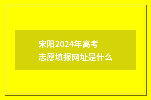 宋阳2024年高考志愿填报网址是什么