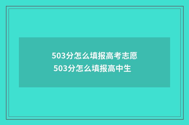 503分怎么填报高考志愿 503分怎么填报高中生