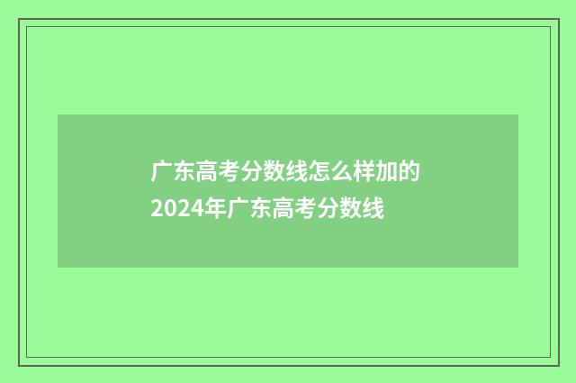 广东高考分数线怎么样加的 2024年广东高考分数线