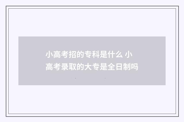 小高考招的专科是什么 小高考录取的大专是全日制吗