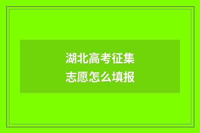 湖北高考征集志愿怎么填报