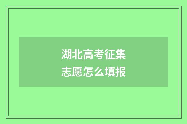 湖北高考征集志愿怎么填报