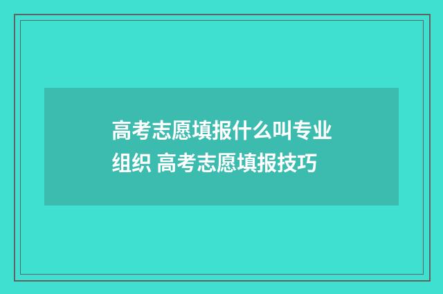 高考志愿填报什么叫专业组织 高考志愿填报技巧