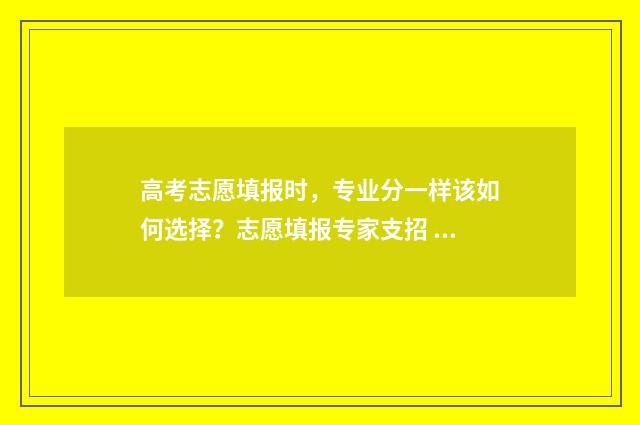 高考志愿填报时，专业分一样该如何选择？志愿填报专家支招 高考志愿填报时间2024