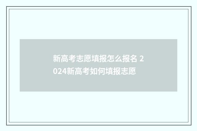 新高考志愿填报怎么报名 2024新高考如何填报志愿