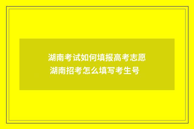 湖南考试如何填报高考志愿 湖南招考怎么填写考生号