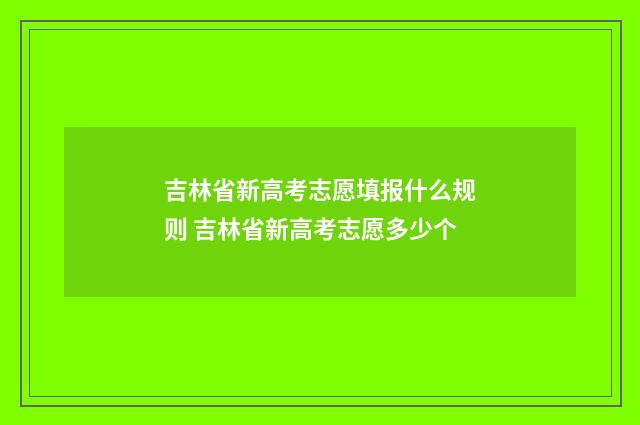 吉林省新高考志愿填报什么规则 吉林省新高考志愿多少个