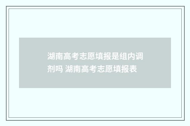 湖南高考志愿填报是组内调剂吗 湖南高考志愿填报表