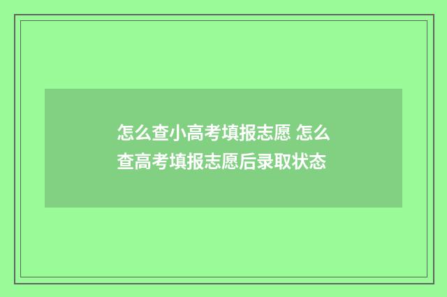 怎么查小高考填报志愿 怎么查高考填报志愿后录取状态