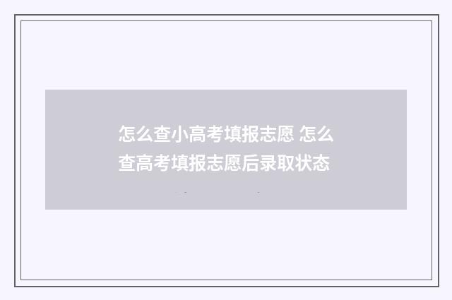 怎么查小高考填报志愿 怎么查高考填报志愿后录取状态