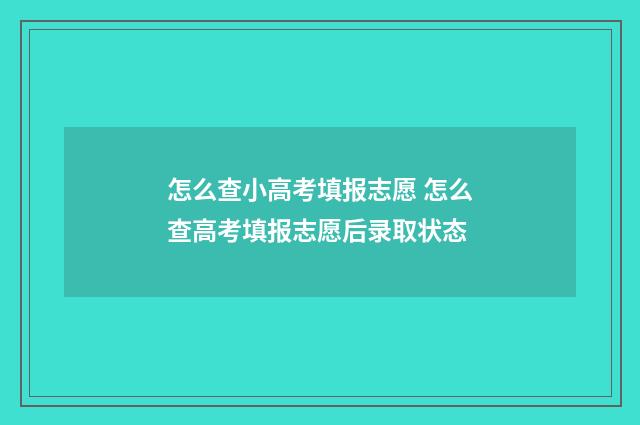 怎么查小高考填报志愿 怎么查高考填报志愿后录取状态