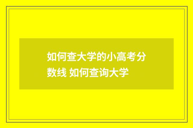 如何查大学的小高考分数线 如何查询大学