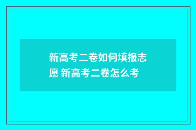 新高考二卷如何填报志愿 新高考二卷怎么考
