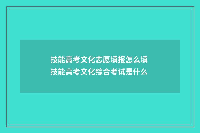 技能高考文化志愿填报怎么填 技能高考文化综合考试是什么