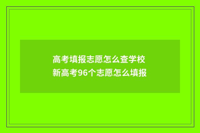 高考填报志愿怎么查学校 新高考96个志愿怎么填报