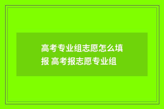 高考专业组志愿怎么填报 高考报志愿专业组