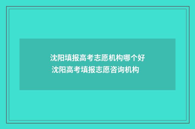 沈阳填报高考志愿机构哪个好 沈阳高考填报志愿咨询机构