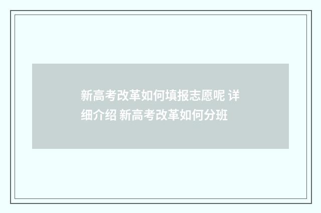 新高考改革如何填报志愿呢 详细介绍 新高考改革如何分班