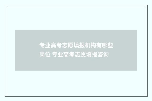 专业高考志愿填报机构有哪些岗位 专业高考志愿填报咨询