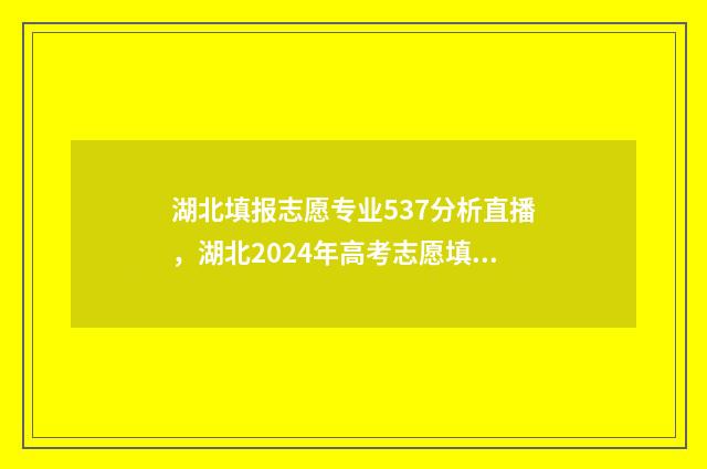 湖北填报志愿专业537分析直播，湖北2024年高考志愿填报直播 湖北填报志愿专业代码