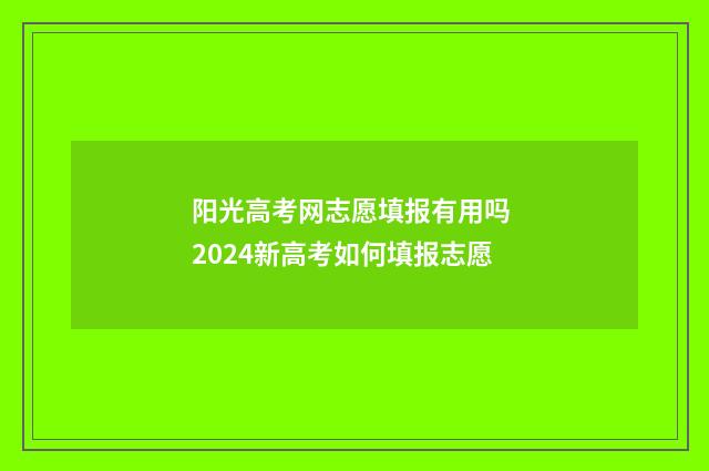 阳光高考网志愿填报有用吗 2024新高考如何填报志愿