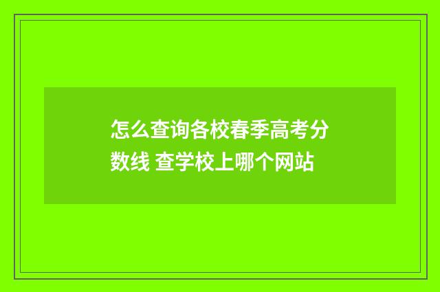 怎么查询各校春季高考分数线 查学校上哪个网站