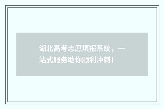 湖北高考志愿填报系统，一站式服务助你顺利冲刺！