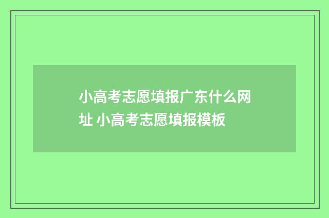 小高考志愿填报广东什么网址 小高考志愿填报模板