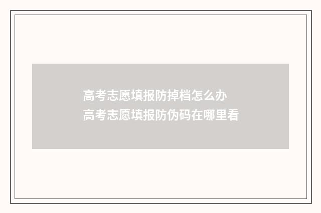 高考志愿填报防掉档怎么办 高考志愿填报防伪码在哪里看