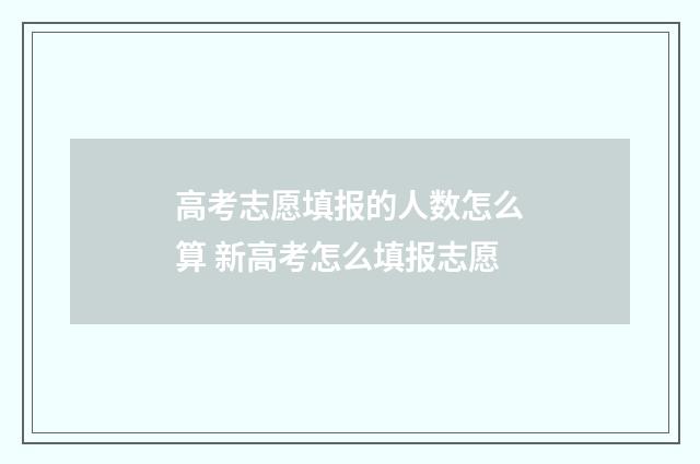 高考志愿填报的人数怎么算 新高考怎么填报志愿