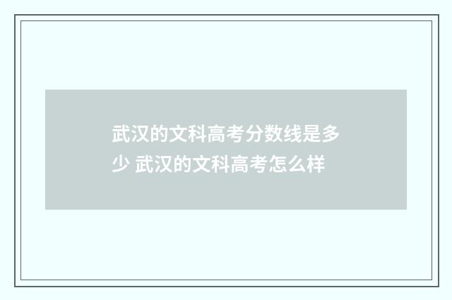 武汉的文科高考分数线是多少 武汉的文科高考怎么样